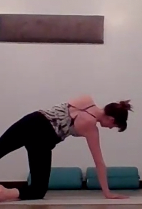 Five Movements of the Spine
