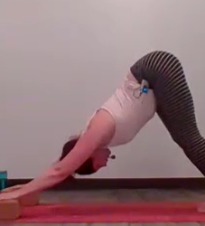 Prep for Handstand by Just Being